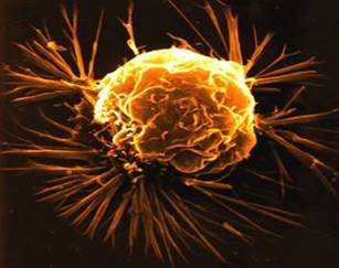 Наноробот на борьбе с клетками рака 1