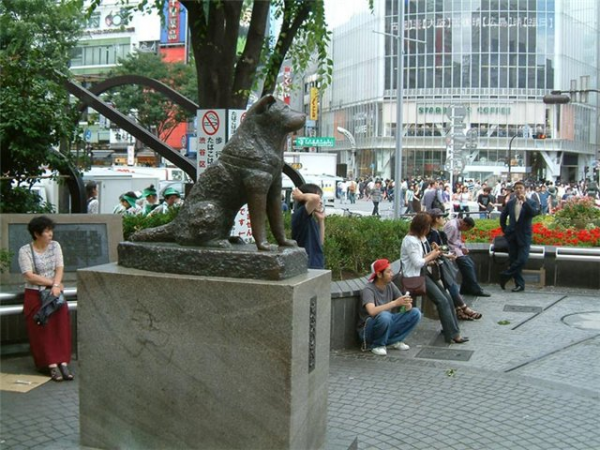 Памятник верной собаке Хатико (Япония)