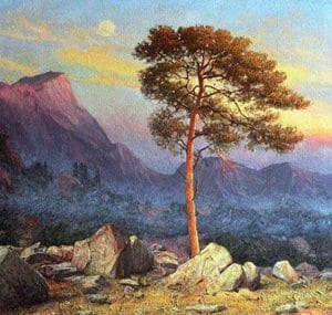 Образ сосны из стихотворения М.Ю. Лермонтова «На севере диком стоит одиноко»