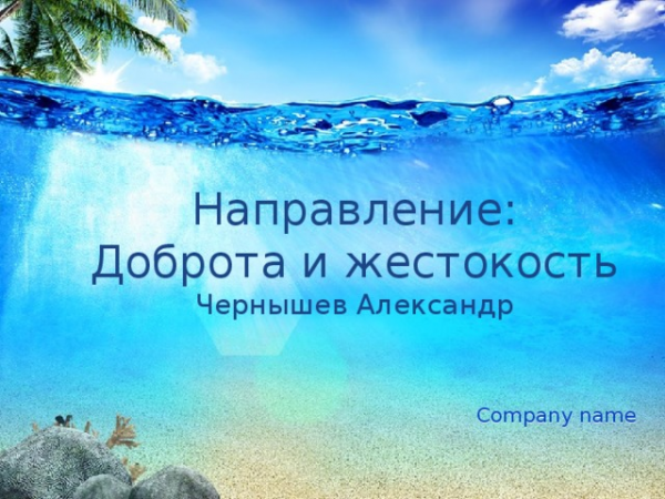 Направление: Доброта и жестокость Чернышев Александр Company name 
