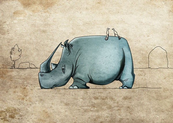 Белый носорог рассказ о вымирающем животном на английском 1