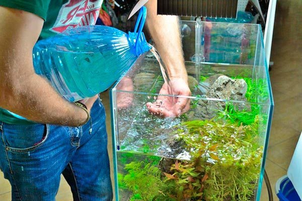 как поменять воду в аквариуме