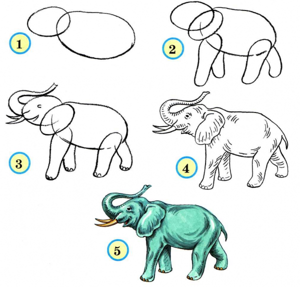 Приложение примерные схемы изображения животных для уроков в начальной школе 1