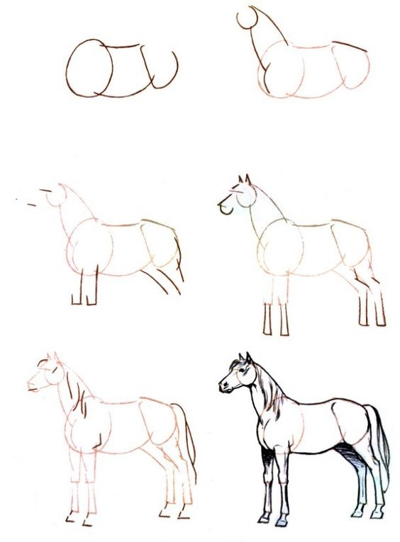 Приложение примерные схемы изображения животных для уроков в начальной школе 2