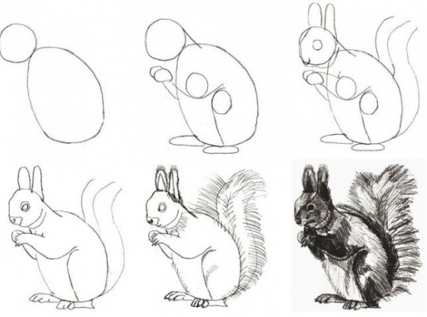 Приложение примерные схемы изображения животных для уроков в начальной школе 3
