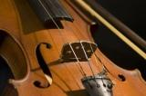 История возникновения скрипки 1