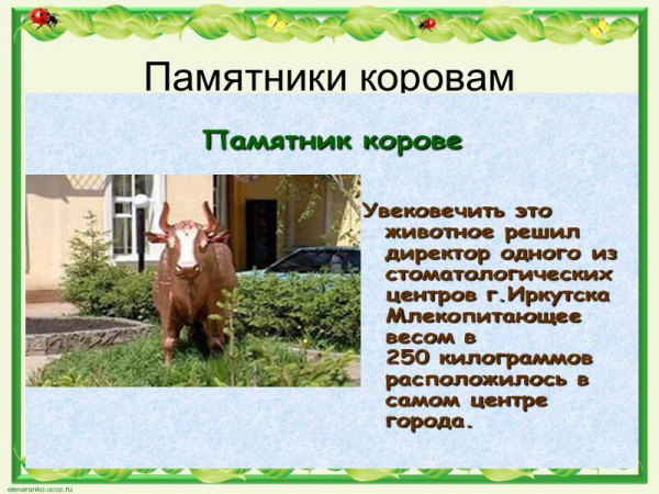 Презентация «Материалы к сочинению-описанию любимого животного», (5 класс) 17