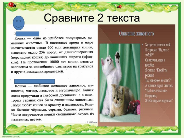 Презентация «Материалы к сочинению-описанию любимого животного», (5 класс) 9