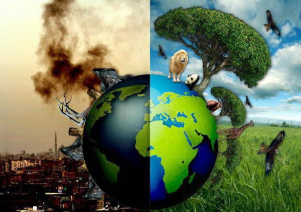 О чем нужно рассказать в сочинении современные проблемы экологии  1